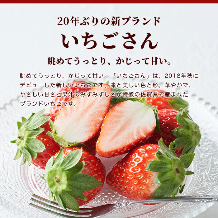 【ふるさと納税】予約受付 佐賀県産 いちご いちごさん 480g or 960g （約240g×2 or 4パック） | ふるさと納税 いちご イチゴ 苺 果物 フルーツ 旬 贈答用 お取り寄せ ギフト ふるさと 人気 佐賀県 鹿島市 送料無料 B-465 サムネイル2