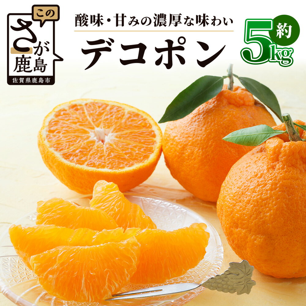 《予約受付》デコポン 5kg | ふるさと納税 みかん 高級 デコポン 蜜柑 柑橘 不知火 しらぬい 果物 フルーツ くだもの 果実 ブランド ギフト 贈り物 贈答用 国産 九州 佐賀県産 佐賀県 鹿島市 ふるさと 人気 送料無料 B-672