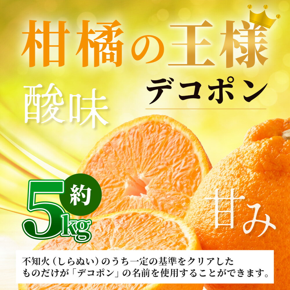 【ふるさと納税】《予約受付》デコポン 5kg | ふるさと納税 みかん 高級 デコポン 蜜柑 柑橘 不知火 しらぬい 果物 フルーツ くだもの 果実 ブランド ギフト 贈り物 贈答用 国産 九州 佐賀県産 佐賀県 鹿島市 ふるさと 人気 送料無料 B-672 サムネイル2