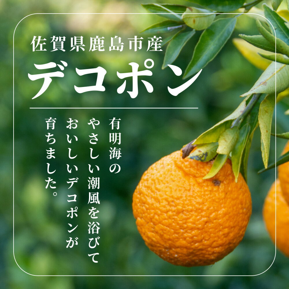 【ふるさと納税】《予約受付》デコポン 5kg | ふるさと納税 みかん 高級 デコポン 蜜柑 柑橘 不知火 しらぬい 果物 フルーツ くだもの 果実 ブランド ギフト 贈り物 贈答用 国産 九州 佐賀県産 佐賀県 鹿島市 ふるさと 人気 送料無料 B-672 サムネイル3