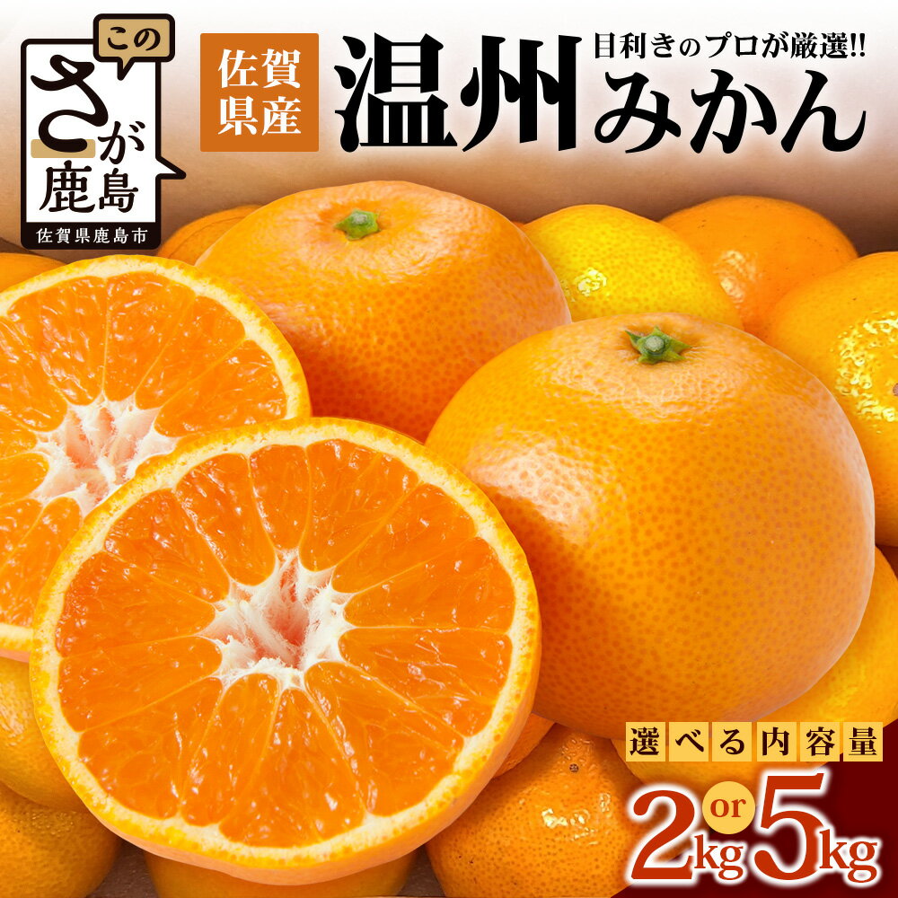 《予約受付》佐賀県産みかん 約2kg〜5kg 目利きのプロが厳選《2025年11月～2026年2月頃発送予定》 | ふるさと納税 みかん 少量 温州みかん フルーツ 果物 くだもの 果実 蜜柑 柑橘 ミカン ギフト 贈物 プレゼント 贈答 ふるさと 人気 九州 送料無料 B-673