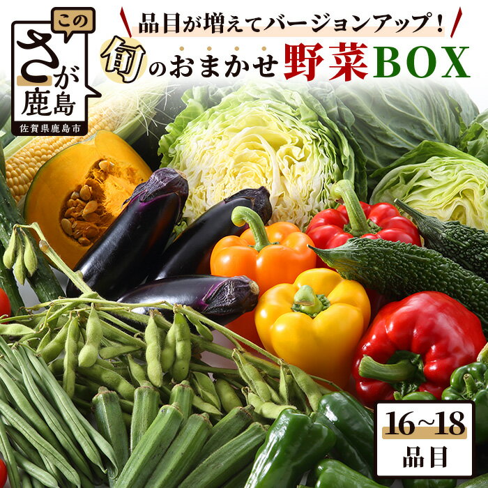 旬の野菜 おまかせ野菜BOX 16~18品目 | ふるさと納税 野菜 やさい 定番 野菜 セット 野菜セット 国産 詰め合わせ 旬 新鮮 季節野菜 産地直送 大容量 ふるさと 佐賀県 鹿島市 人気 送料無料 B-690