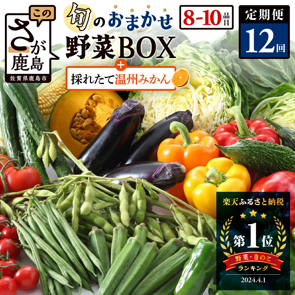 定期便 12回【選べる開始月・サイクル】野菜 定期便 12回 8~10品目 旬のおまかせ野菜セット 12ヶ月 | ふるさと納税 野菜 詰め合わせ 1年 定番野菜 新鮮 産地直送 ふるさと 佐賀県 鹿島市 人気 送料無料 H-13