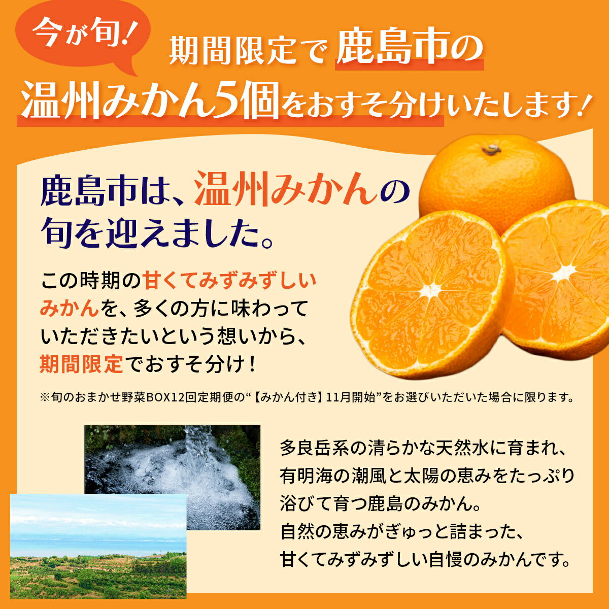 【ふるさと納税】定期便 12回【選べる開始月・サイクル】野菜 定期便 12回 8~10品目 旬のおまかせ野菜セット 12ヶ月 | ふるさと納税 野菜 詰め合わせ 1年 定番野菜 新鮮 産地直送 ふるさと 佐賀県 鹿島市 人気 送料無料 H-13 サムネイル2