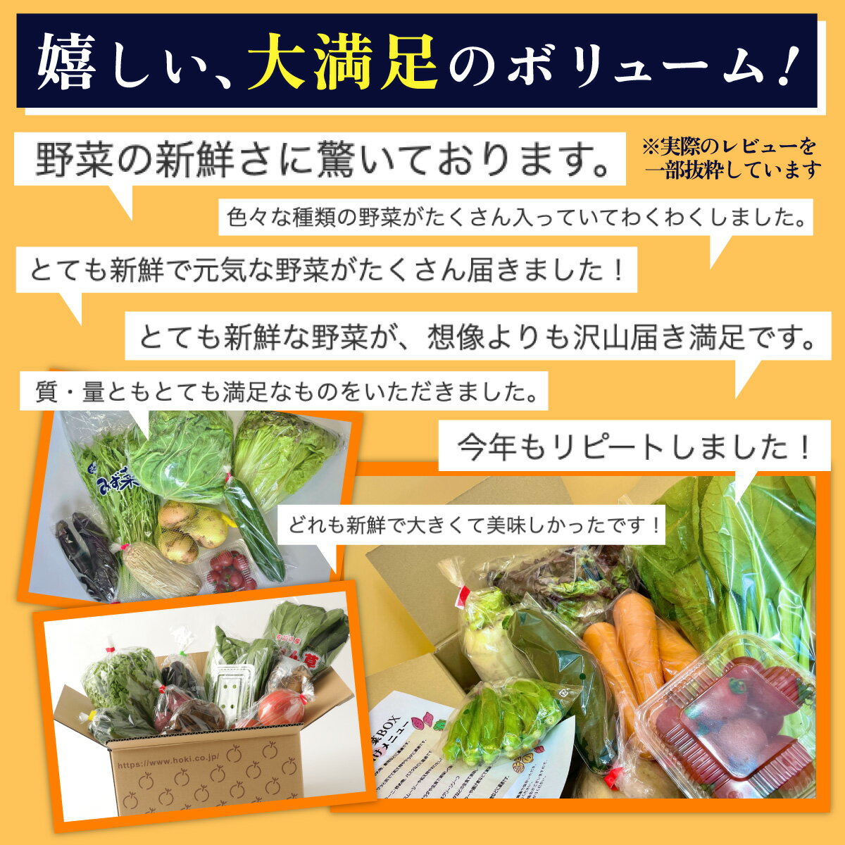 【ふるさと納税】【選べる開始月・サイクル】野菜 定期便 6回 8~10品目 旬のおまかせ野菜セット 6ヶ月 | ふるさと納税 野菜 定期便 野菜セット 詰め合わせ 定期 半年 旬 定番 新鮮 産地直送 大容量 ふるさと 佐賀県 鹿島市 人気 送料無料 E-72 サムネイル3