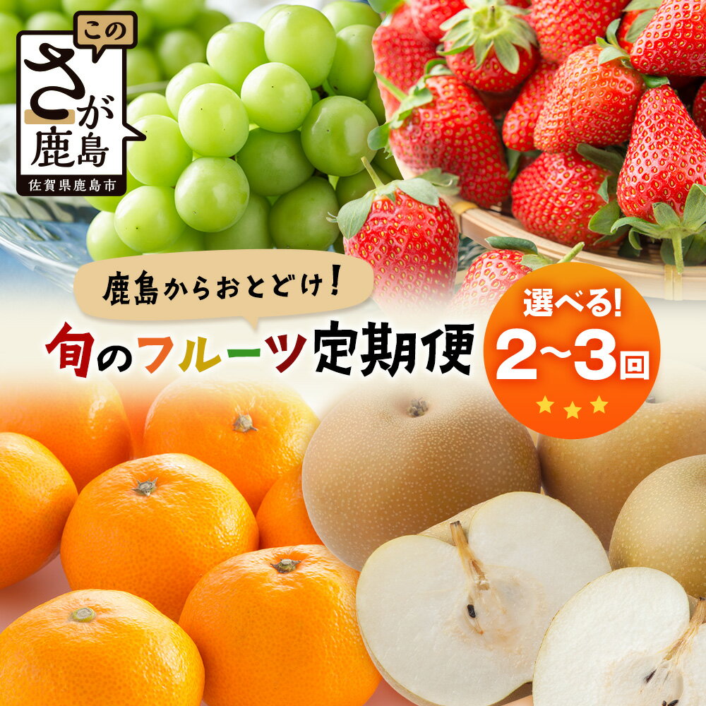 旬に届く 選べる フルーツ定期便 2回 3回 | ふるさと納税 フルーツ 果物 定期便 定期 いちご 梨 みかん シャインマスカット 温州みかん バラエティ お試し 食べ比べ 九州 ふるさと おすすめ 佐賀県 鹿島市 送料無料 人気 E-132