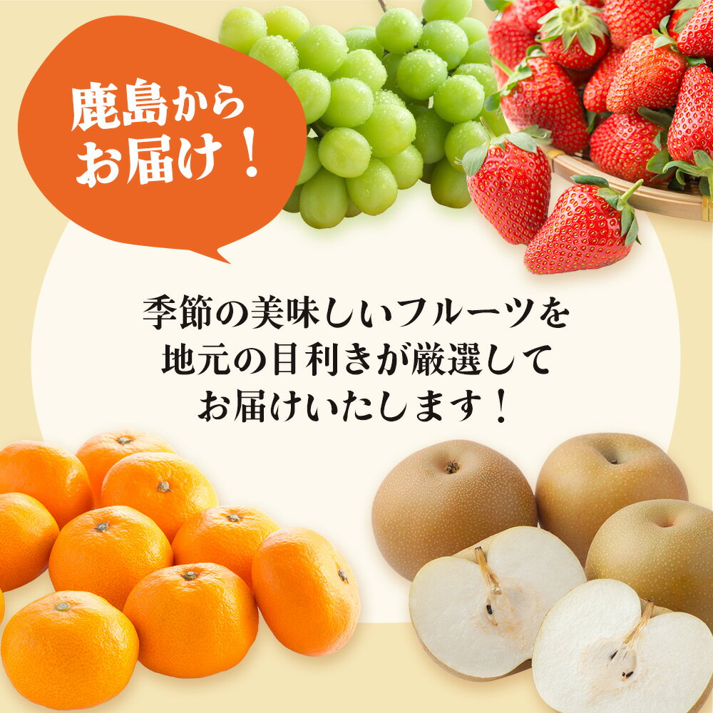 【ふるさと納税】旬に届く 選べる フルーツ定期便 2回 3回 | ふるさと納税 フルーツ 果物 定期便 定期 いちご 梨 みかん シャインマスカット 温州みかん バラエティ お試し 食べ比べ 九州 ふるさと おすすめ 佐賀県 鹿島市 送料無料 人気 E-132 サムネイル2