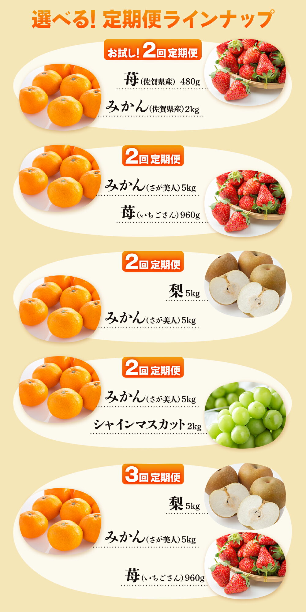 【ふるさと納税】旬に届く 選べる フルーツ定期便 2回 3回 | ふるさと納税 フルーツ 果物 定期便 定期 いちご 梨 みかん シャインマスカット 温州みかん バラエティ お試し 食べ比べ 九州 ふるさと おすすめ 佐賀県 鹿島市 送料無料 人気 E-132 サムネイル3