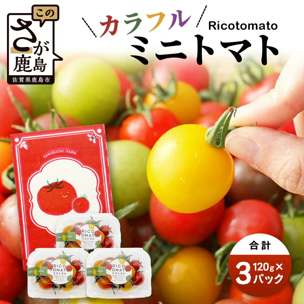 甘い！ ミニトマト 少量120g×3P【定期便1～4回】｜カラフル ミニトマト｜JGAP認証・佐賀県特別栽培農産物｜有機物100％の土づくり 農家直送 フルーツトマト ギフト 家庭用【2026年1月より発送】贈答 おみやげ お取り寄せ 産地直送 佐賀県 鹿島市 人気 A-211