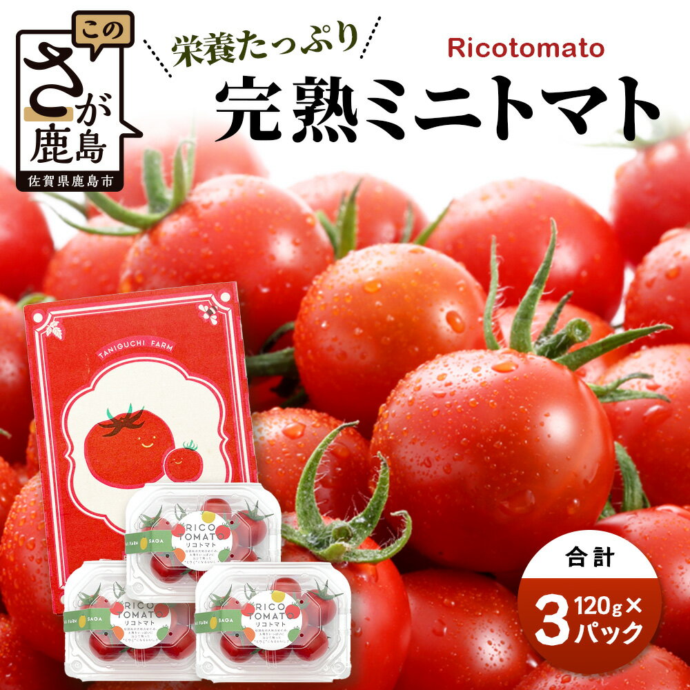 カラフルミニトマト 6種 少量パック 360g (120g×3) 定期便 1～4回 たにぐちファーム | トマト プチトマト 野菜 やさい 定期 JGAP認証 佐賀県 特別栽培農産物 有機物100％の土づくり 農家直送 フルーツトマト ギフト ふるさと 人気 佐賀県 鹿島市 A-211