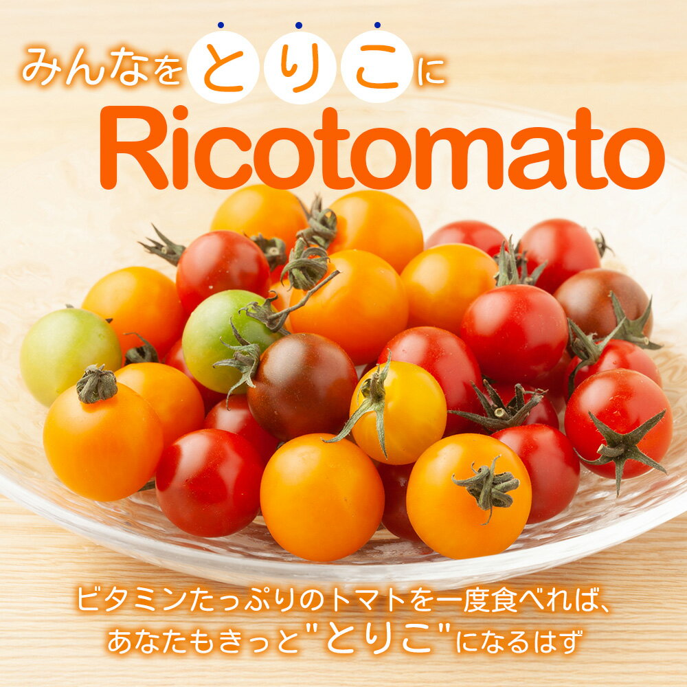 【ふるさと納税】定期便 2回 ミニトマト 6種 1kg カラフルミニトマト たにぐちファーム Ricotomato | トマト ミニトマト プチトマト 野菜 定期便 2ヶ月 2か月 定期 とまと 新鮮 春野菜 夏野菜 旬 やさい ふるさと 人気 佐賀産 佐賀県 鹿島市 送料無料 D-92 - 画像2