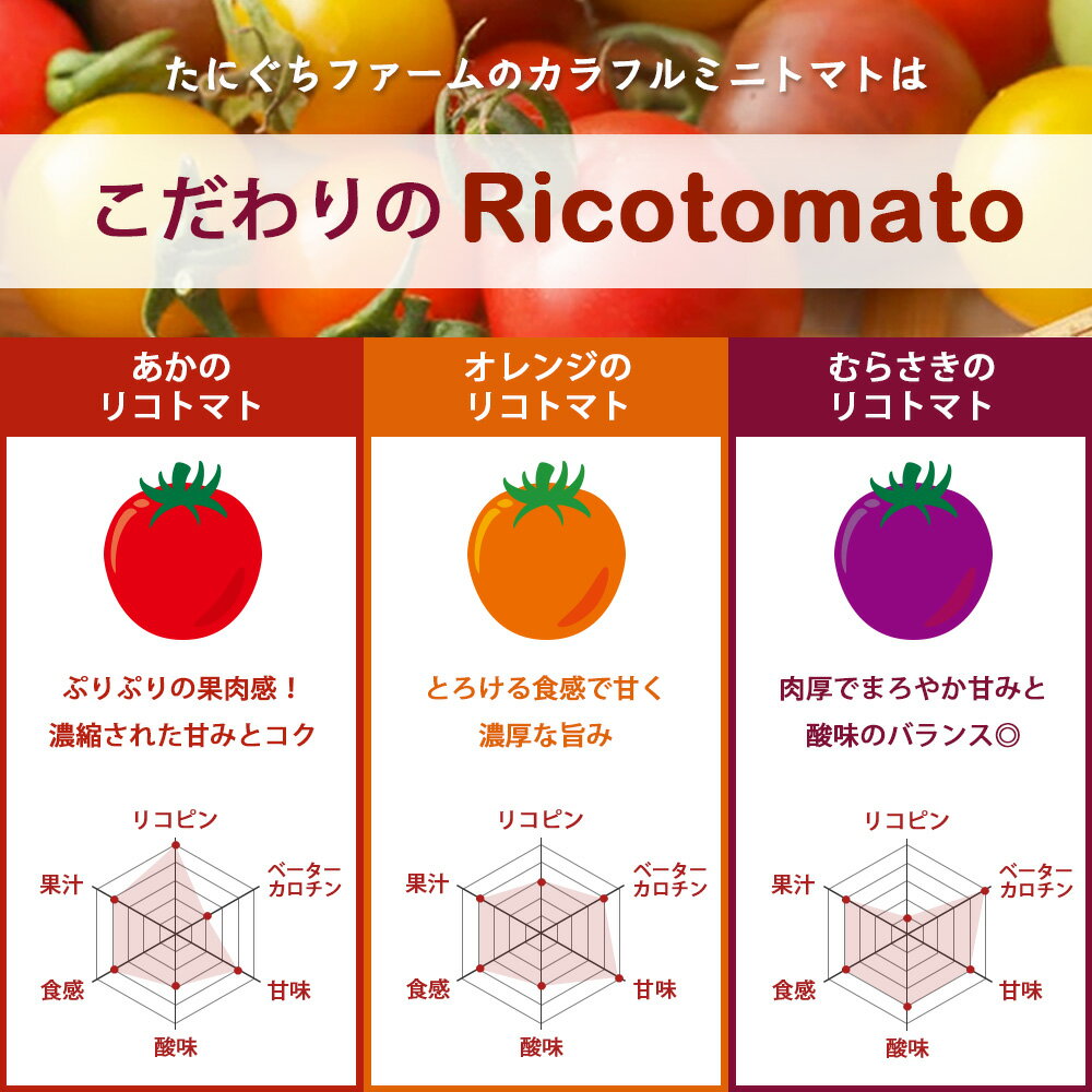 【ふるさと納税】甘い！ ミニトマト 少量120g×3P【定期便1～4回】｜カラフル ミニトマト｜JGAP認証・佐賀県特別栽培農産物｜有機物100％の土づくり 農家直送 フルーツトマト ギフト 家庭用【2026年1月より発送】贈答 おみやげ お取り寄せ 産地直送 佐賀県 鹿島市 人気 A-211 - 画像2