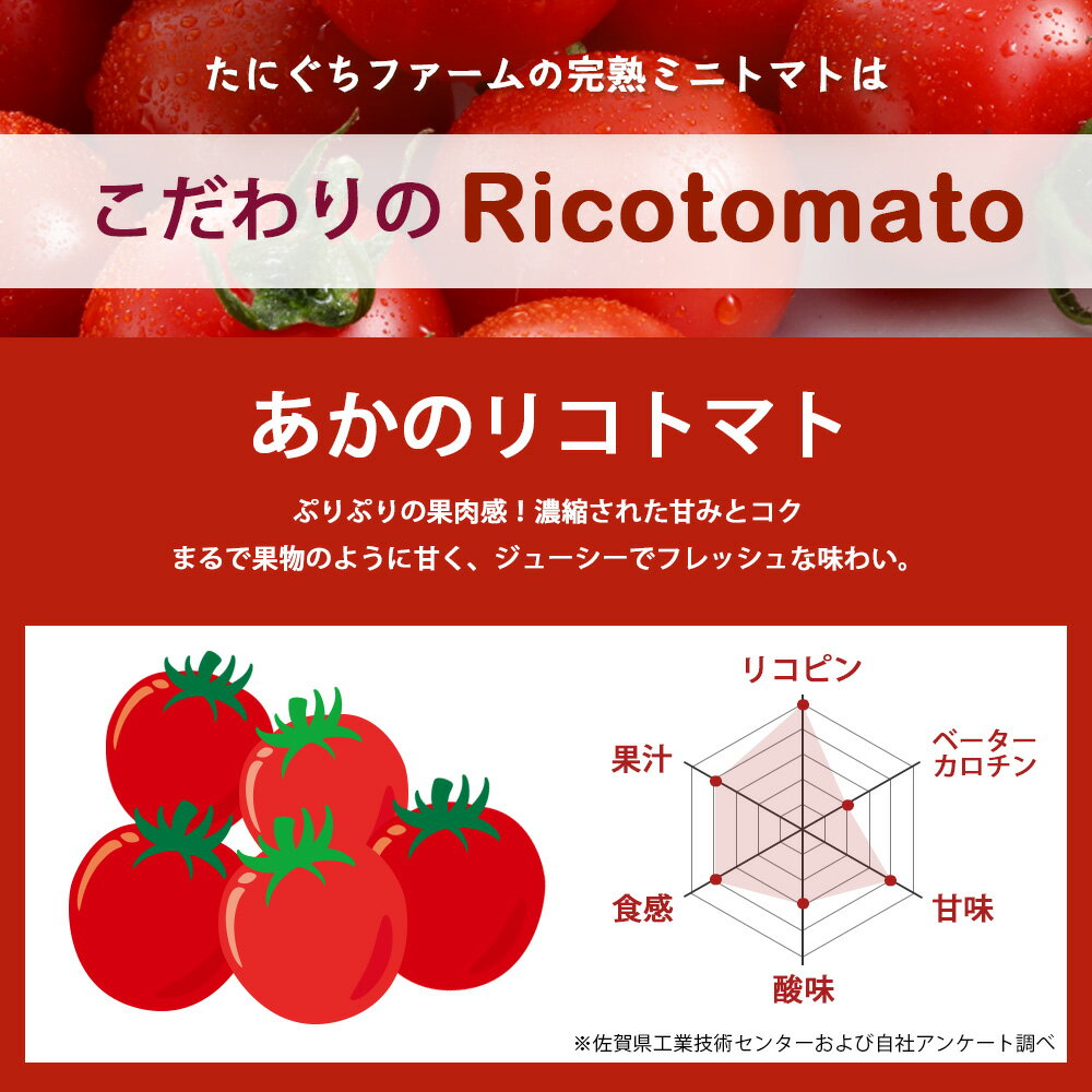 【ふるさと納税】カラフルミニトマト 6種 少量パック 360g (120g×3) 定期便 1～4回 たにぐちファーム | トマト プチトマト 野菜 やさい 定期 JGAP認証 佐賀県 特別栽培農産物 有機物100％の土づくり 農家直送 フルーツトマト ギフト ふるさと 人気 佐賀県 鹿島市 A-211 - 画像2