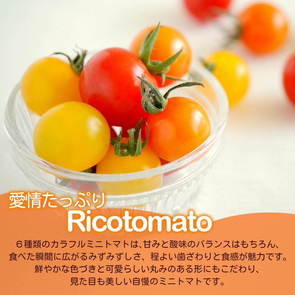 【ふるさと納税】定期便 2回 ミニトマト 6種 1kg カラフルミニトマト たにぐちファーム Ricotomato | トマト ミニトマト プチトマト 野菜 定期便 2ヶ月 2か月 定期 とまと 新鮮 春野菜 夏野菜 旬 やさい ふるさと 人気 佐賀産 佐賀県 鹿島市 送料無料 D-92 - 画像3