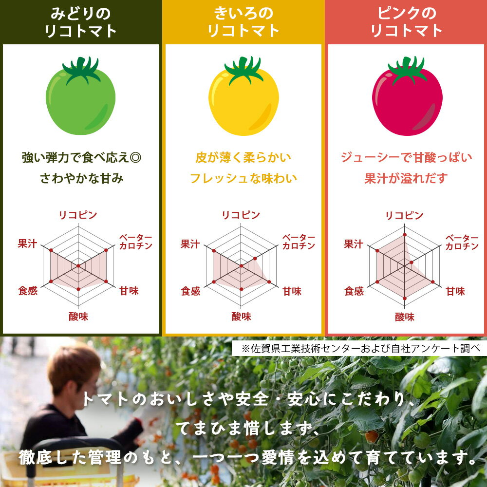 【ふるさと納税】甘い！ ミニトマト 少量120g×3P【定期便1～4回】｜カラフル ミニトマト｜JGAP認証・佐賀県特別栽培農産物｜有機物100％の土づくり 農家直送 フルーツトマト ギフト 家庭用【2026年1月より発送】贈答 おみやげ お取り寄せ 産地直送 佐賀県 鹿島市 人気 A-211 - 画像3