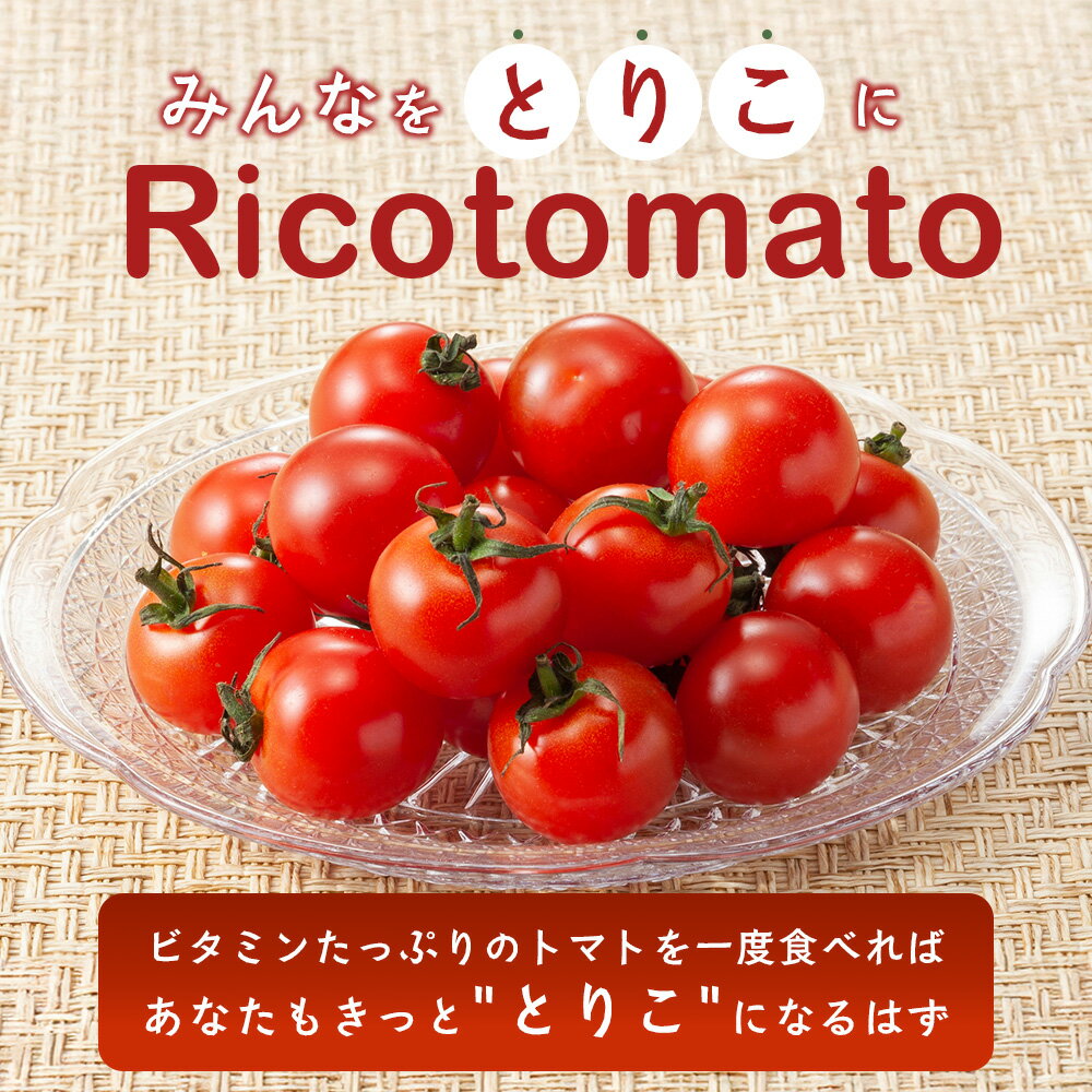 【ふるさと納税】カラフルミニトマト 6種 少量パック 360g (120g×3) 定期便 1～4回 たにぐちファーム | トマト プチトマト 野菜 やさい 定期 JGAP認証 佐賀県 特別栽培農産物 有機物100％の土づくり 農家直送 フルーツトマト ギフト ふるさと 人気 佐賀県 鹿島市 A-211 - 画像3