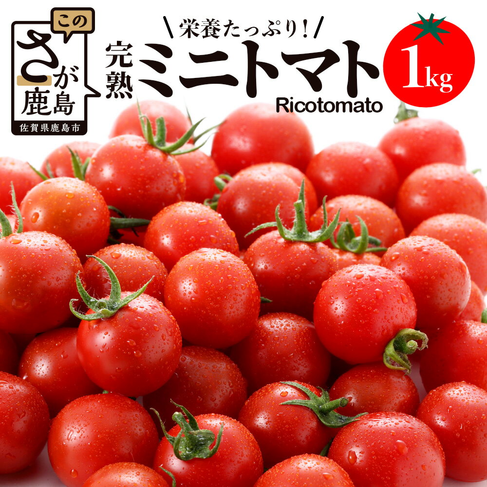 完熟ミニトマト 1kg たにぐちファーム Ricotomato | トマト ミニトマト プチトマト 野菜 とまと 新鮮 春野菜 夏野菜 旬 やさい お取り寄せ グルメ ふるさと 人気 佐賀産 佐賀県 鹿島市 送料無料 B-324