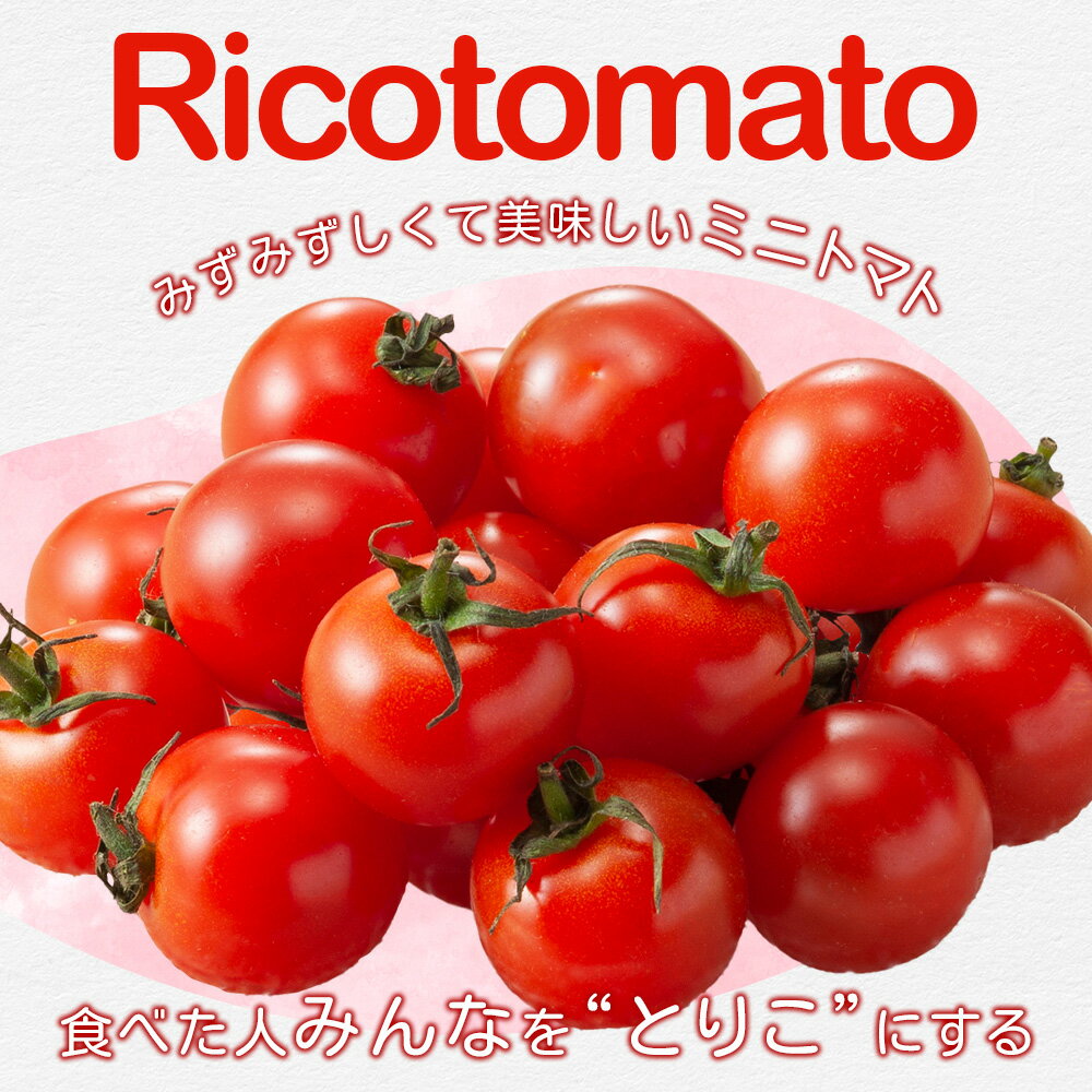 【ふるさと納税】完熟ミニトマト 1kg たにぐちファーム Ricotomato | トマト ミニトマト プチトマト 野菜 とまと 新鮮 春野菜 夏野菜 旬 やさい お取り寄せ グルメ ふるさと 人気 佐賀産 佐賀県 鹿島市 送料無料 B-324 - 画像2