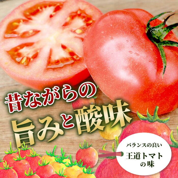 【ふるさと納税】【配送月が選べる】とりこになるトマト 3.5kg以上 Ricotomato たにぐちファーム | トマト 野菜 とまと やさい リコピン 新鮮 旬 サラダ 生野菜 お取り寄せ グルメ おすすめ 送料無料 ふるさと 人気 佐賀産 佐賀県 鹿島市【2025年12月〜2026年5月出荷】 B-665 - 画像3