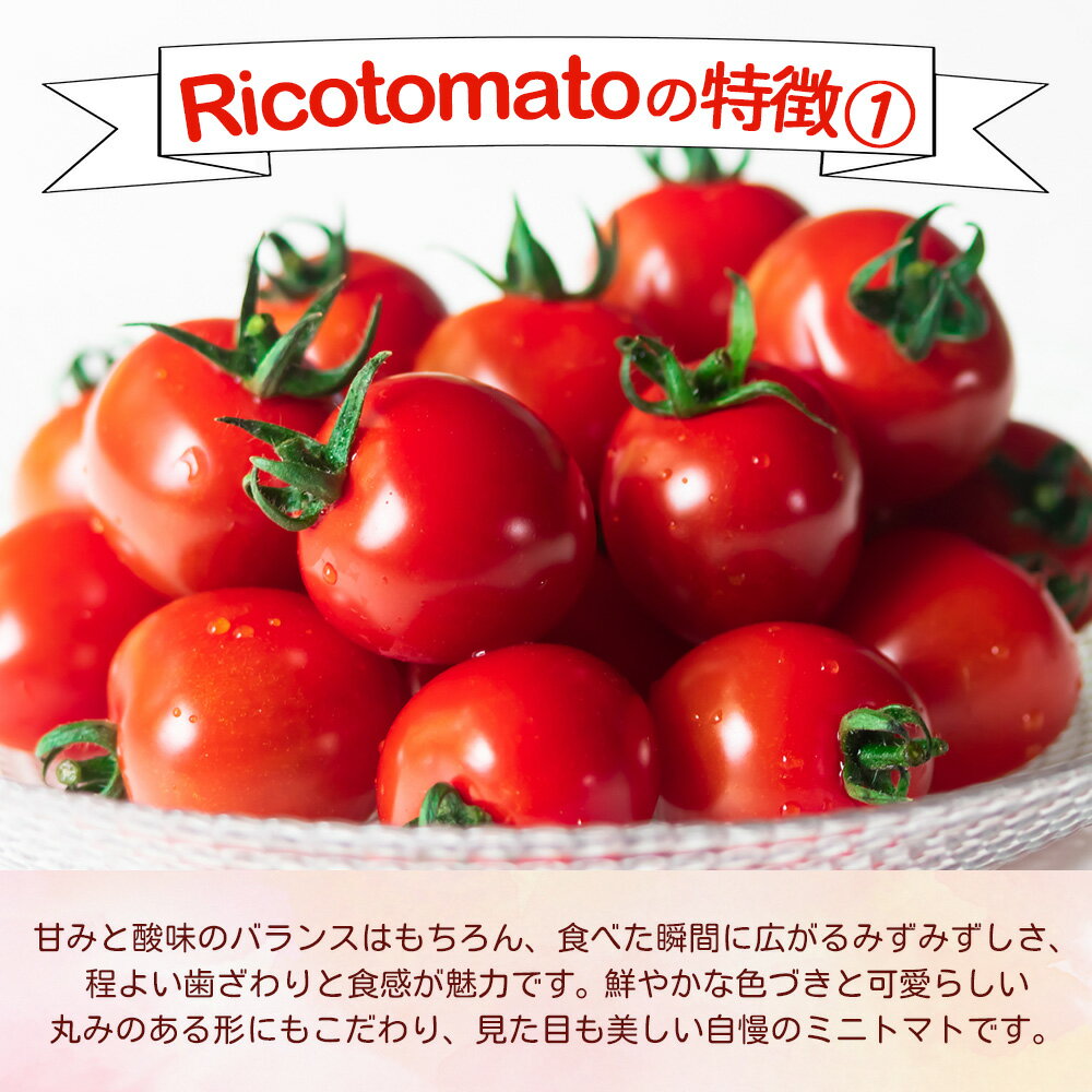 【ふるさと納税】定期便 2回 完熟ミニトマト 1kg たにぐちファーム Ricotomato 【2026年1月から出荷】| トマト ミニトマト プチトマト 野菜 定期便 2ヶ月 2か月 定期 とまと 新鮮 春野菜 夏野菜 旬 やさい ふるさと 人気 佐賀産 佐賀県 鹿島市 送料無料 D-93 - 画像3