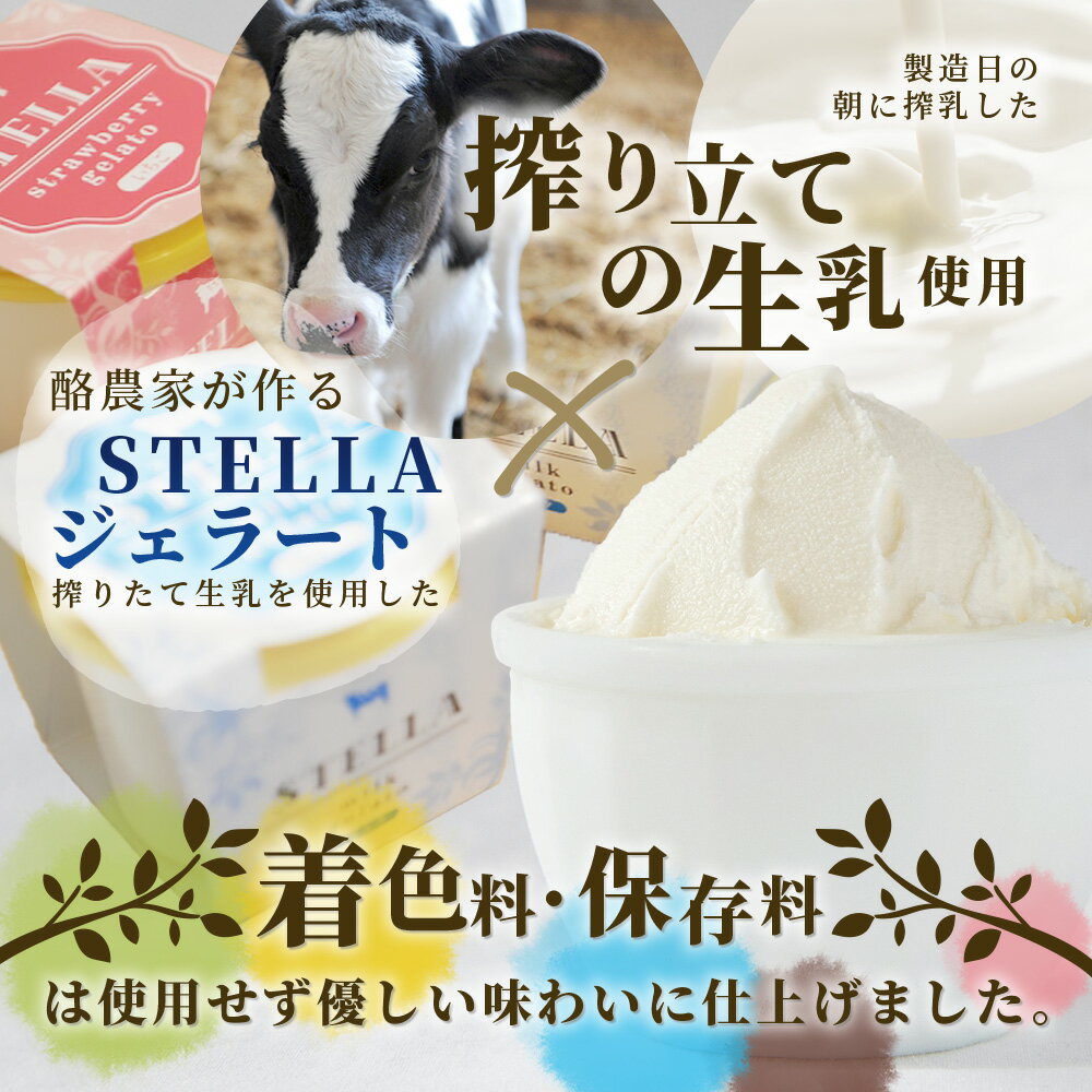 【ふるさと納税】牧場直送！しぼりたて生乳|極上ジェラートSTELLA8個|90g×8個|ミルク 抹茶 いちご きなこ4種×2個| 食べ比べ|厳選素材 アイス プレゼント 贈り物 お中元 お歳暮 ご自宅用 美味しい贅沢 絶品 上質 佐賀県 鹿島市 冷凍 送料無料 B-30 - 画像2