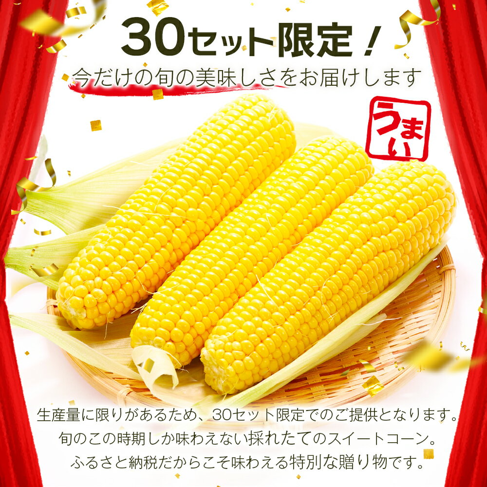 【ふるさと納税】予約受付【限定30セット】 スイートコーン （ゴールドラッシュ） 10〜12本入 朝採れ とうもろこし トウモロコシ 野菜 糖度17~18℃以上 鹿島市産 佐賀県産 春 夏 旬【2026年6月上旬頃より順次発送】 B-319 - 画像2