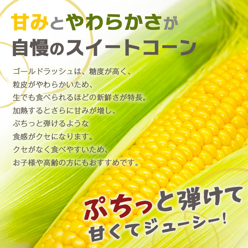 【ふるさと納税】予約受付【限定30セット】 スイートコーン （ゴールドラッシュ） 10〜12本入 朝採れ とうもろこし トウモロコシ 野菜 糖度17~18℃以上 鹿島市産 佐賀県産 春 夏 旬【2026年6月上旬頃より順次発送】 B-319 - 画像3
