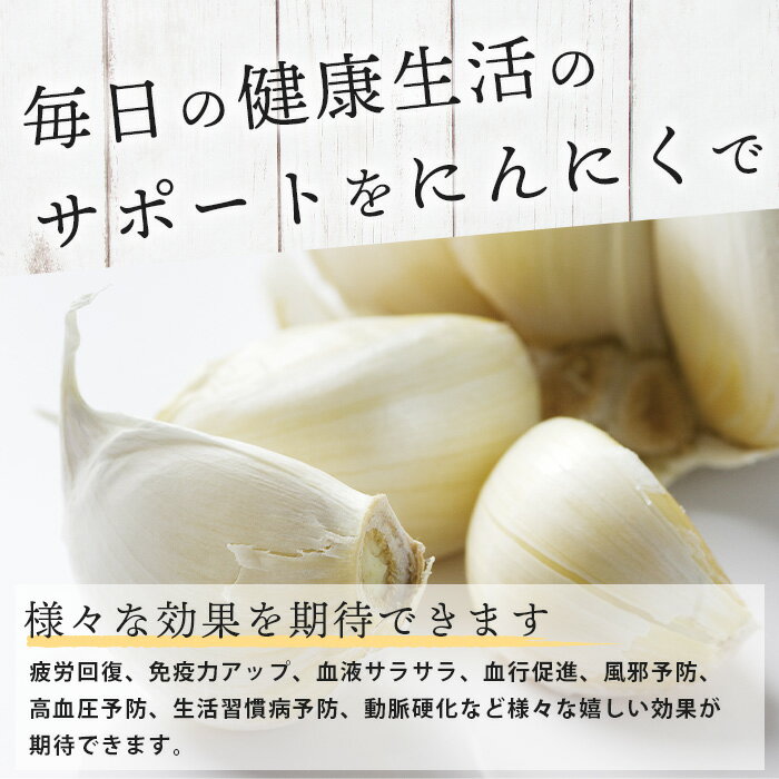 【ふるさと納税】数量限定★辻農園直送 佐賀県産 乾燥にんにく500g（100g×5袋）｜健康志向・料理好きに人気！万能食材◎6月下旬〜発送【A-181】 - 画像3