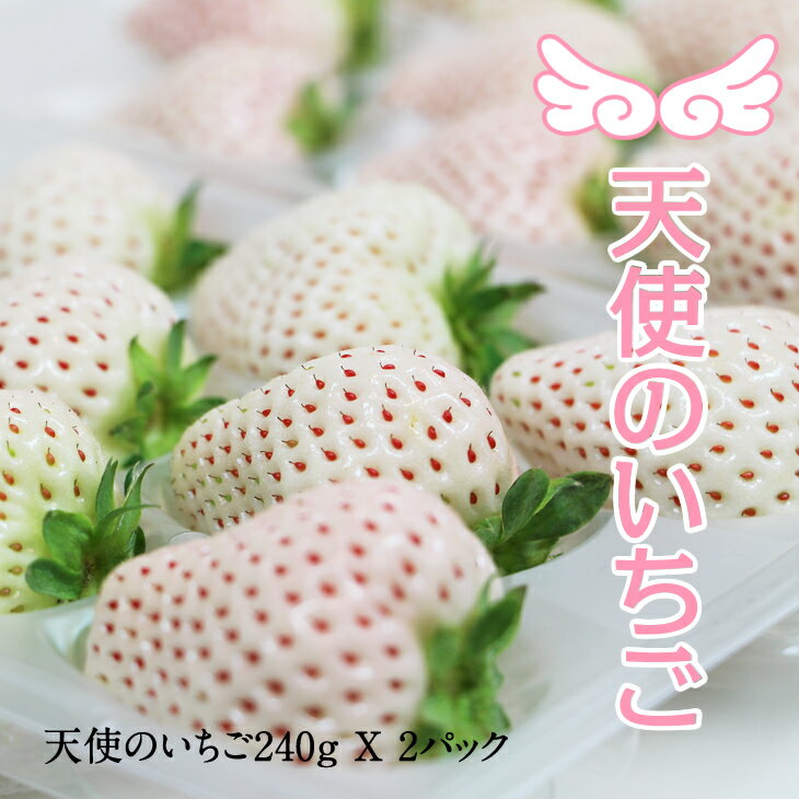 【先行予約令和8年1月配送開始】 天使のいちご 240g X 2パック 凛々 白い 農家 直送品 果物 くだもの フルーツ 人気 ランキング 高評価 苺 イチゴ 【B120-065】