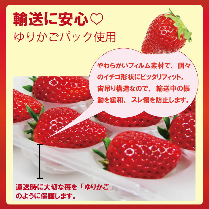 【ふるさと納税】【先行予約令和8年1月配送開始】いちご 「 よつぼし 」『230g×2パック（460g）、230g×4パック（920g）』 選べる 農家直送品 しもむら農園 果物 くだもの フルーツ 人気 ランキング 高評価 苺 イチゴ 【A075-018】 サムネイル3