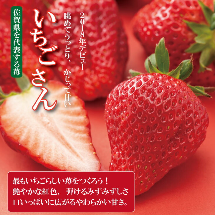 【ふるさと納税】【先行予約令和8年2月配送開始】いちごさん （600g・900g・1200g） ふるかわ農園 農家 直送品 果物 くだもの フルーツ 人気 ランキング 高評価 選べる 苺 イチゴ 佐賀 送料無料 1パック 300g【A075-017】 サムネイル3