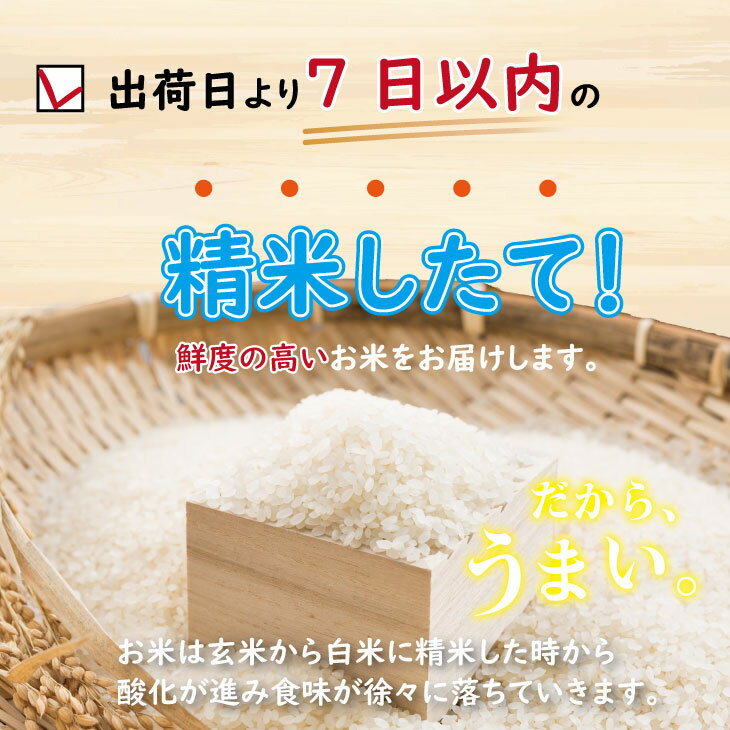 【ふるさと納税】令和7年度産 佐賀県認定！ 特別栽培米「 さがびより 」北川農産 （3kg・5kg・10kg）選べる レビュー高評価！一等米 精米 白米 ブランド米 お米 白飯 人気 ランキング 高評価 【B110-041】 - 画像3