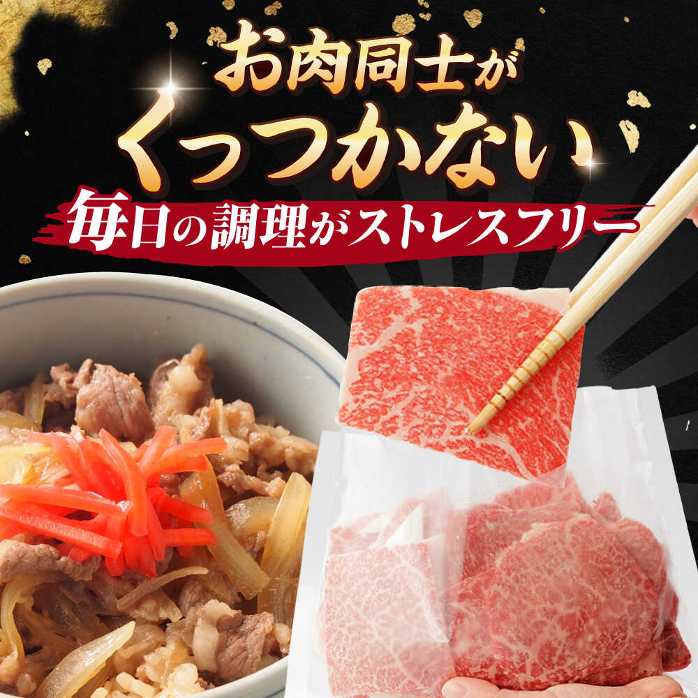 【ふるさと納税】 佐賀和牛 サラサラ 小間切れ 切落し 350g ×2 佐賀県産 黒毛和牛 牛肉 牛 佐賀県嬉野市/一ノ瀬畜産 [NAC009] サムネイル2
