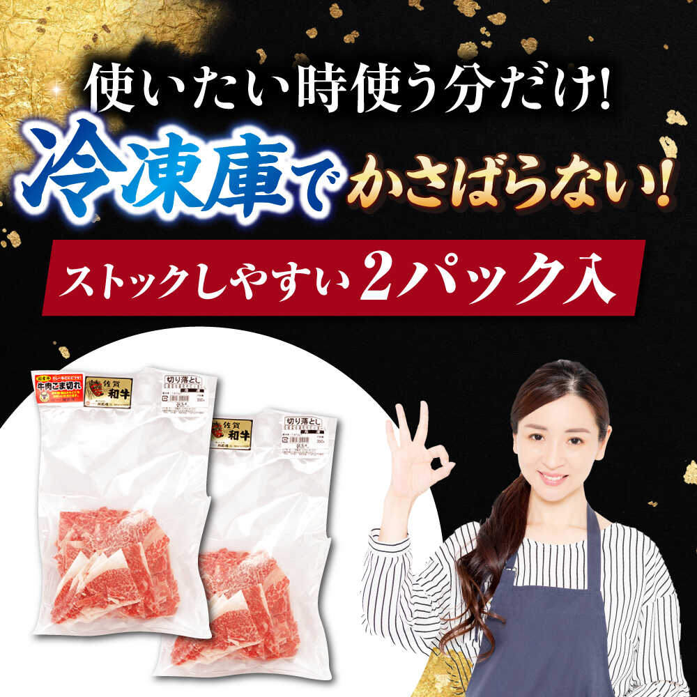 【ふるさと納税】 佐賀和牛 サラサラ 小間切れ 切落し 350g ×2 佐賀県産 黒毛和牛 牛肉 牛 佐賀県嬉野市/一ノ瀬畜産 [NAC009] サムネイル3