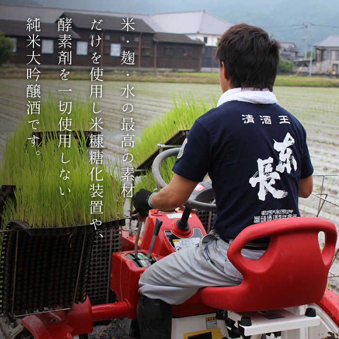 【ふるさと納税】全6回 定期便 大吟醸 東長 720ml 酒 お酒 日本酒 東長 佐賀県嬉野市/瀬頭酒造 [NAH031] サムネイル3
