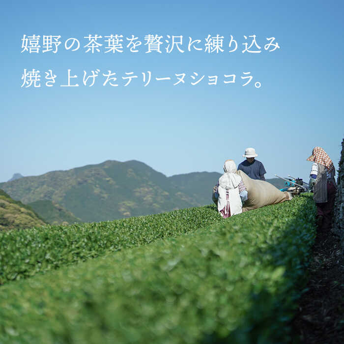 【ふるさと納税】茶畑 テリーヌショコラ 1本 スイーツ 菓子 洋菓子 うれしの茶 嬉野茶 佐賀県嬉野市/spica [NBM001] - 画像2