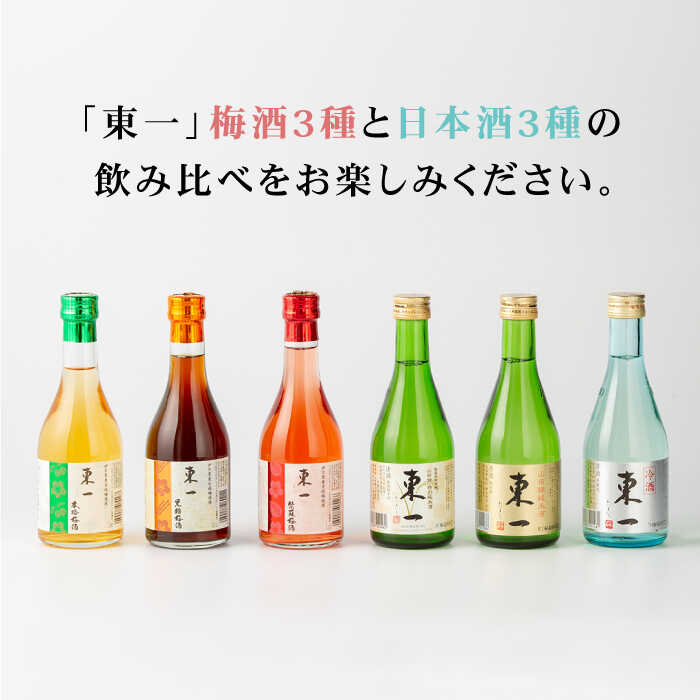 【ふるさと納税】東一 飲み比べセットA （梅酒・日本酒） 300ml 6本 酒 お酒 日本酒 地酒 銘酒 東一 五町田酒造 佐賀県嬉野市/嬉野酒店 [NBQ009] サムネイル2