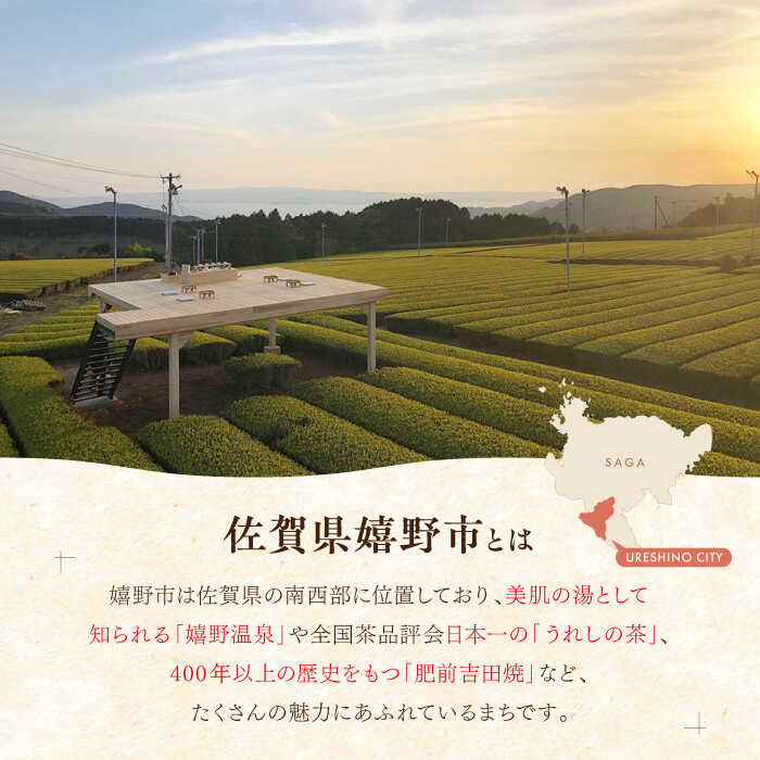 【ふるさと納税】佐賀県嬉野市の対象施設で使える 楽天トラベルクーポン 寄付額 800,000円[NZZ019] サムネイル2