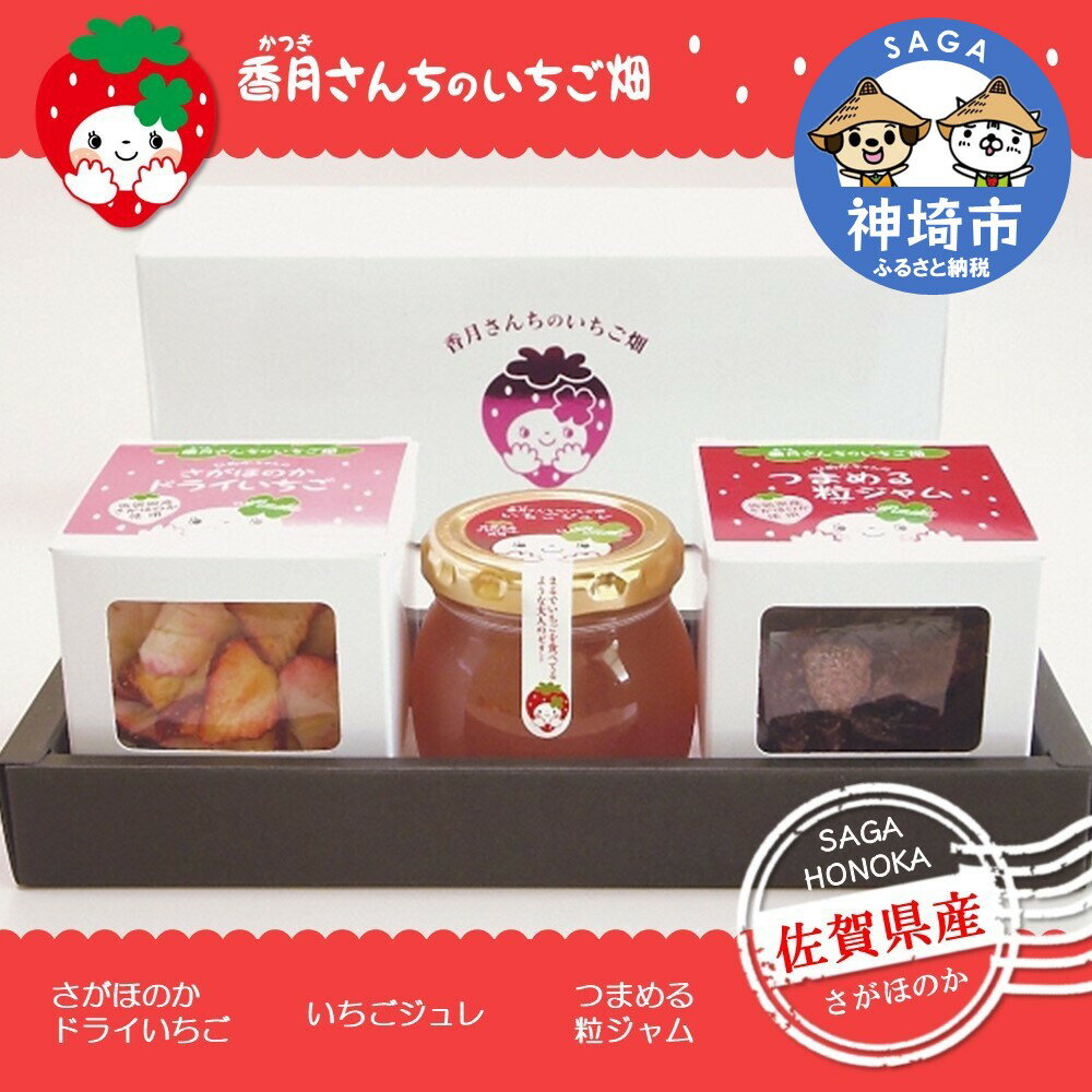 ひめかちゃんのキューブセット 【いちご イチゴ 苺 さがほのか ドライフルーツ 佐賀県産 プチギフト 凍らせてシャーベット】(H017114)