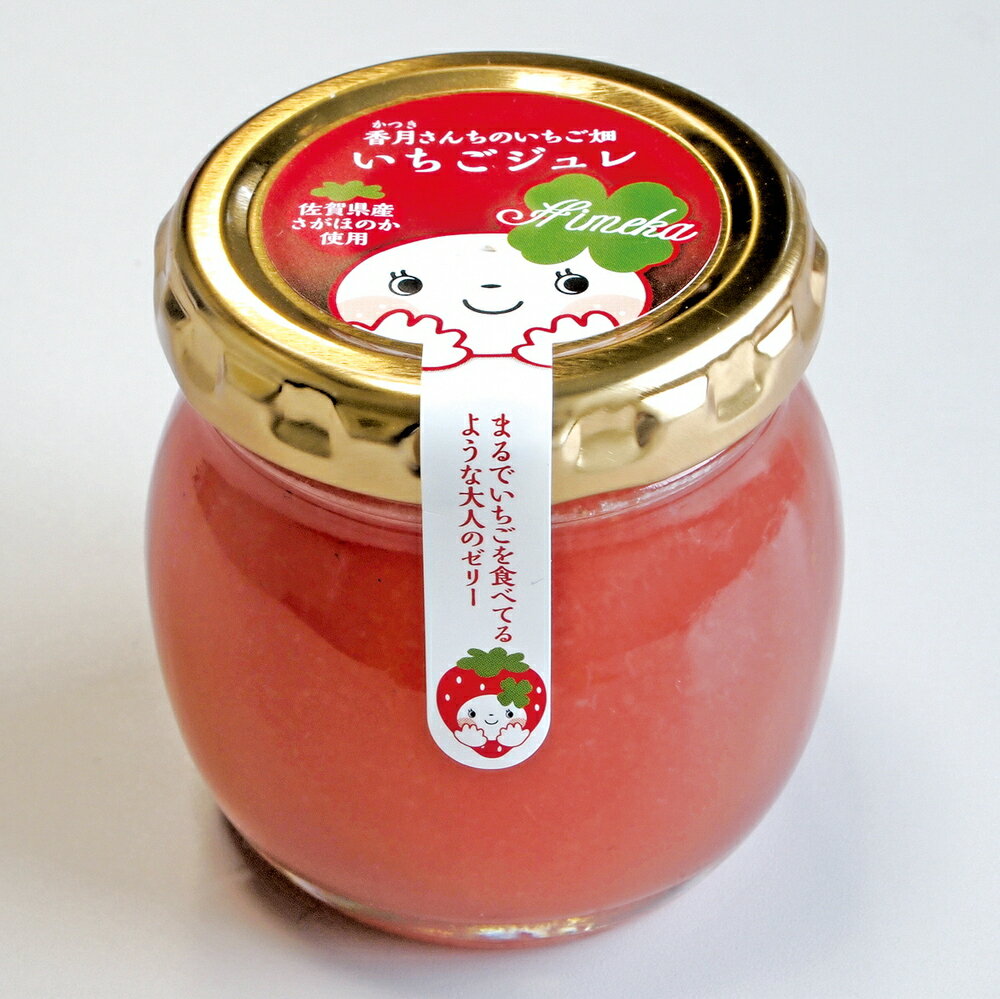 【ふるさと納税】ひめかちゃんのキューブセット 【いちご イチゴ 苺 さがほのか ドライフルーツ 佐賀県産 プチギフト 凍らせてシャーベット】(H017114) サムネイル2