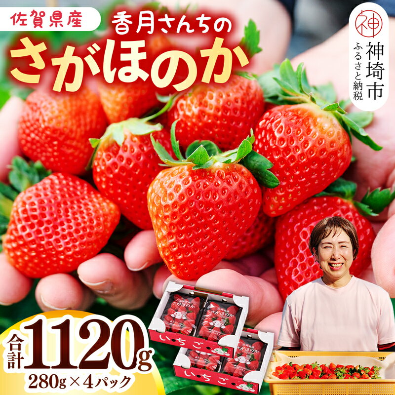 【先行受付 令和8年1月より発送開始】香月さんちのいちご(さがほのか)280g×4パック【いちご イチゴ 苺 さがほのか 大玉 大粒フルーツ 果物 数量限定 香月農園 佐賀県産】(H017116)
