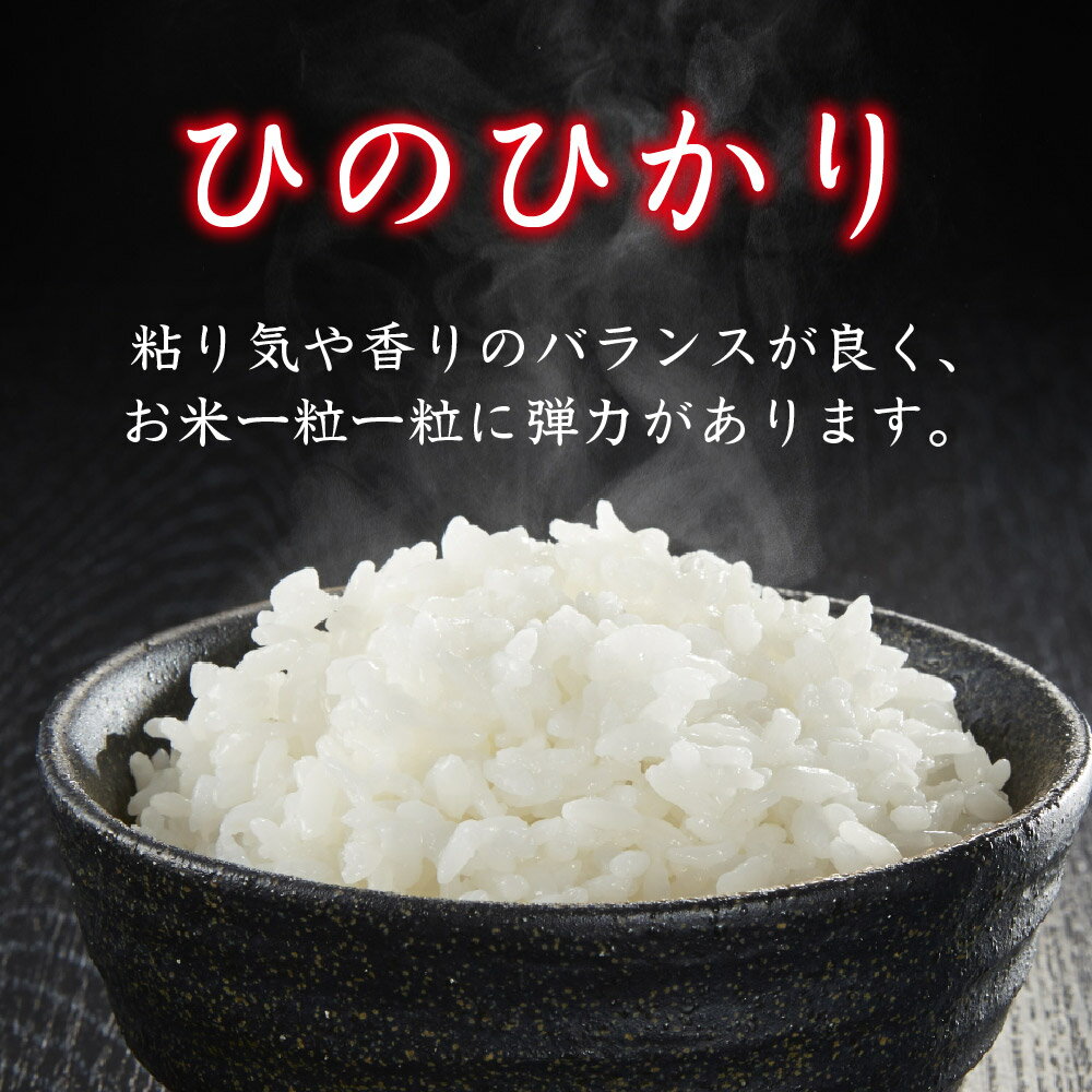【ふるさと納税】【令和7年産】ひのひかり 精米 5kg×2【3ヶ月定期便】【米 お米 コメ 白米 精米 おいしい ランキング 人気 国産 ブランド 地元農家】(H061A60) - 画像2