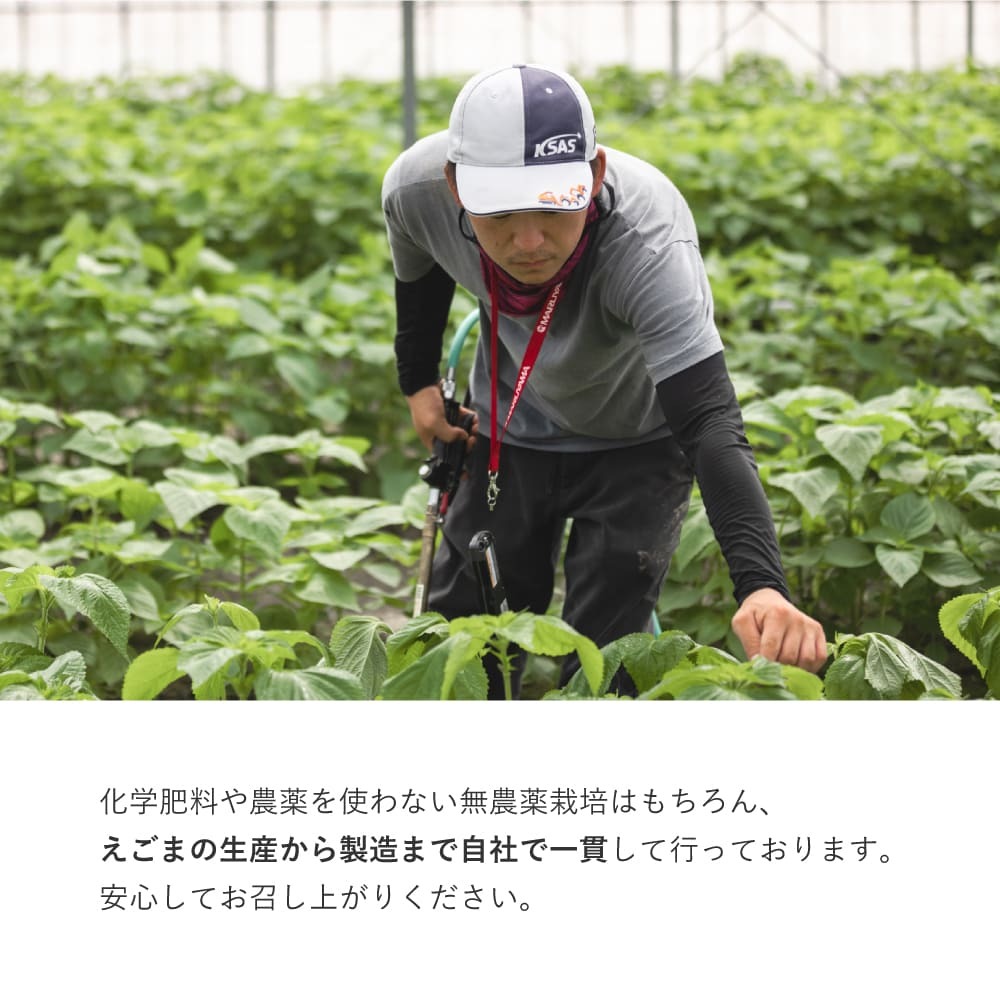 【ふるさと納税】九州産えごま油 100g×2本セット(H037117) サムネイル3