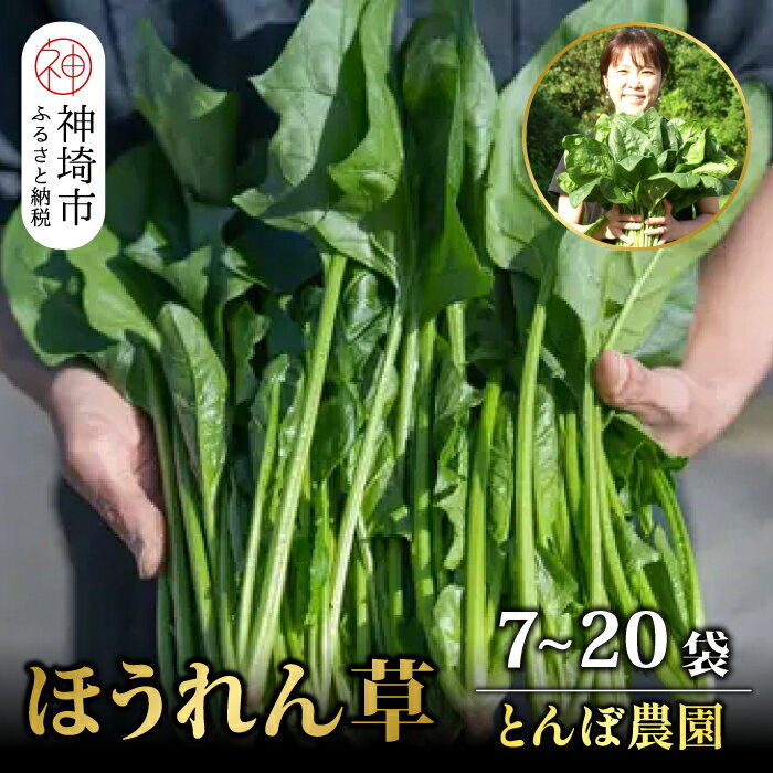 佐賀県脊振山麓産 ほうれん草【1kg / 1.8kg / 3kg】H091P113