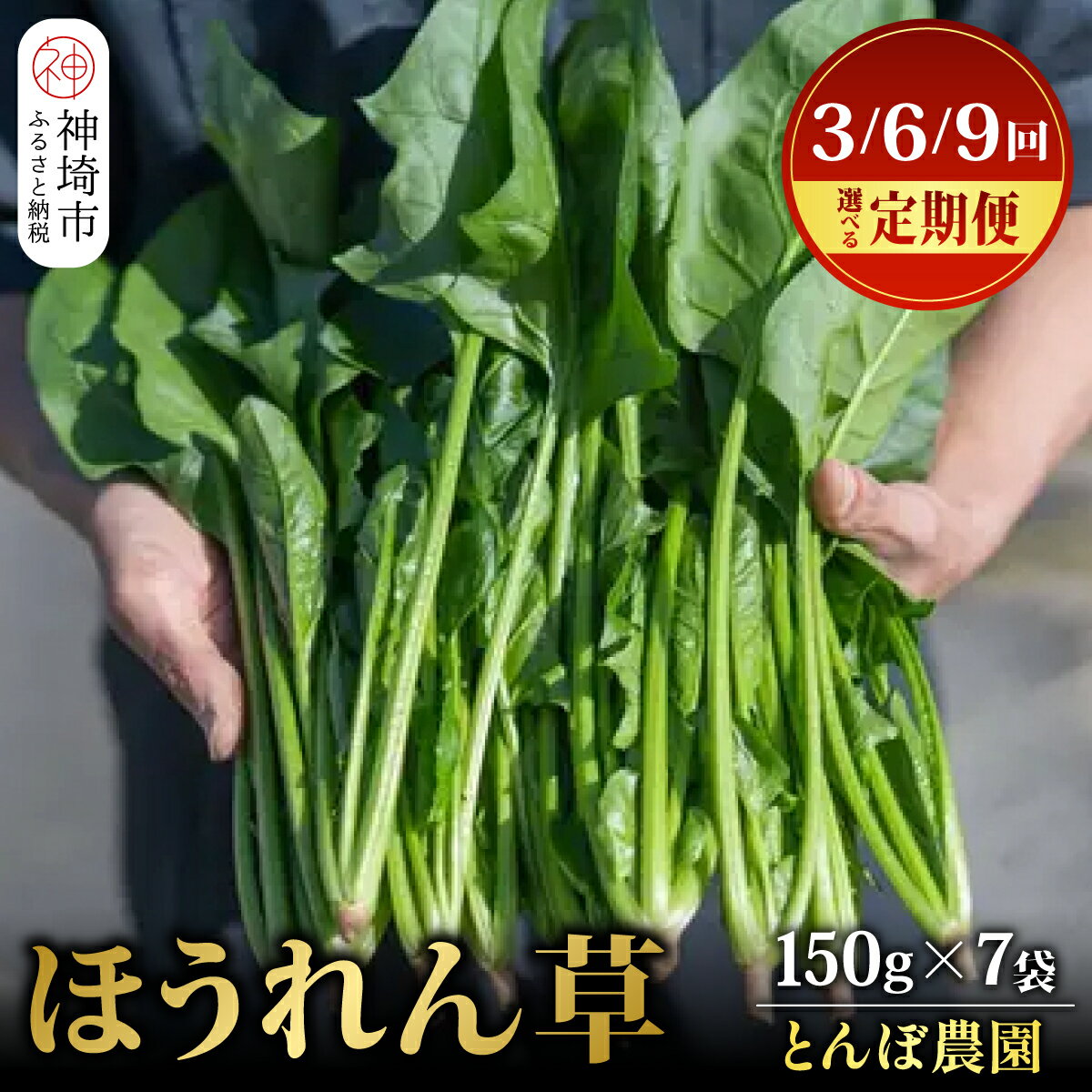 佐賀県脊振山麓産 ほうれん草 約1kg（150g x 7袋）【定期便 3回 / 6回 / 9回】H091P119