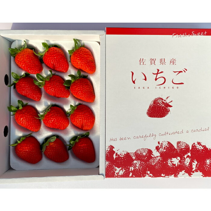 【ふるさと納税】【先行受付 令和8年1月下旬より発送開始】いちごさん さがほのか 大玉いちごセット 9粒から15粒（約350g）(H101101) サムネイル2