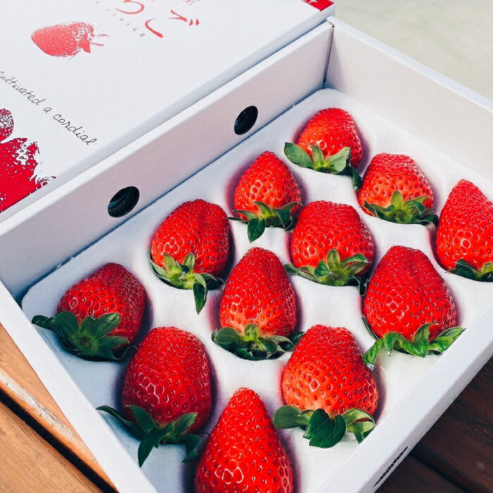 【ふるさと納税】【先行受付 令和8年1月下旬より発送開始】いちごさん さがほのか 大玉いちごセット 9粒から15粒（約350g）(H101101) サムネイル3