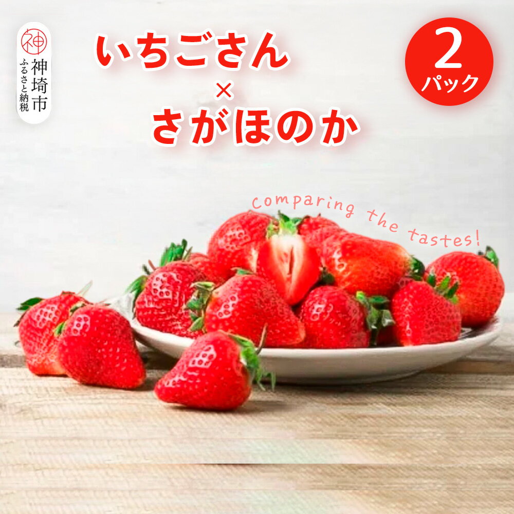 【2026年1月上旬より発送開始】いちご食べ比べ 2パック(いちごさん・さがほのか)【果物 くだもの フルーツ イチゴ 苺 佐賀】(H116135)