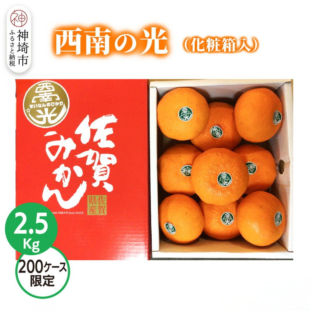 【2025年12月上旬より発送開始】西南の光 2.5kg(化粧箱入り)【みかん 柑橘 フルーツ デザート βクリプトキサンチン 手土産】(H116150)