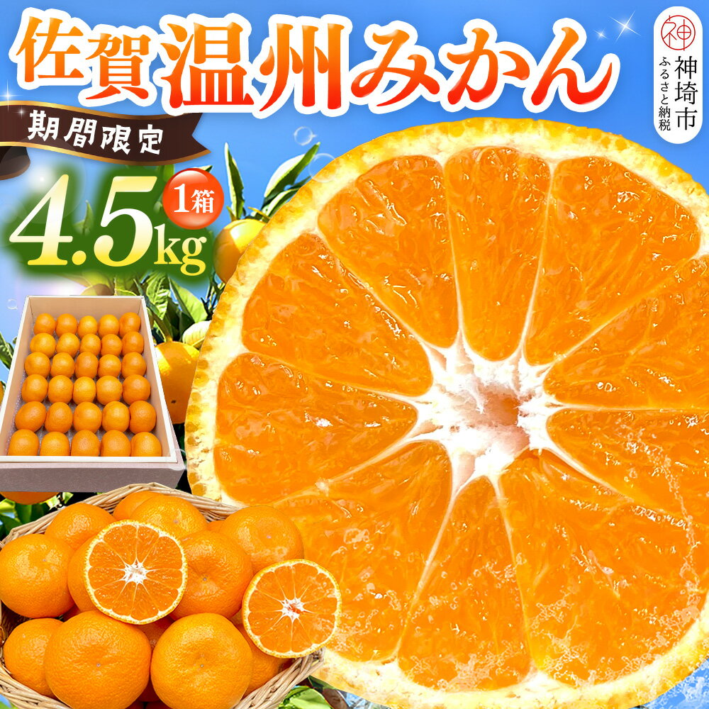 【令和7年11月下旬より発送】佐賀温州みかん(1箱 4.5kg)【フルーツ 佐賀 佐賀県産 早生みかん 温州みかん ギフト 贈答 プレゼント】 (H072107)